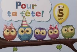 5 ANS - CARTE D'ANNIVERSAIRE GÉNÉRALE - POUR TA FÊTE DÉJÀ 5 ANS - DE MILLBROOK